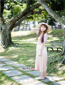花木兰传奇电视剧